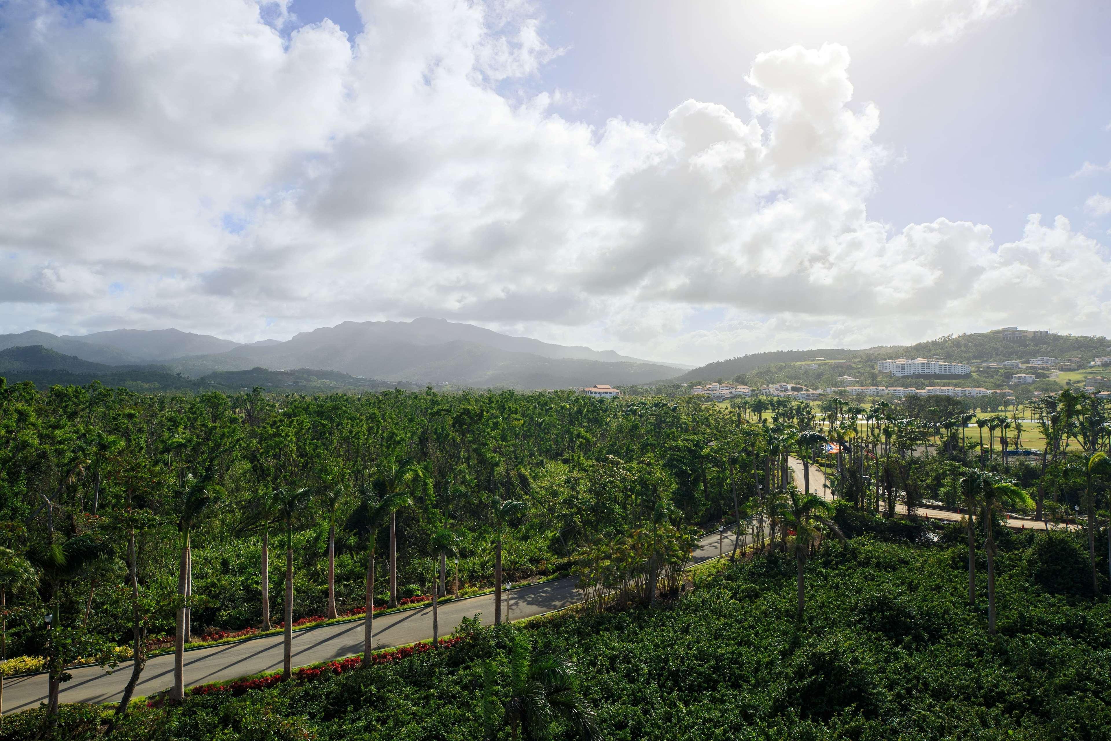 Wyndham Grand Rio Mar Rainforest Beach And Golf Resort Rio Grande Dış mekan fotoğraf