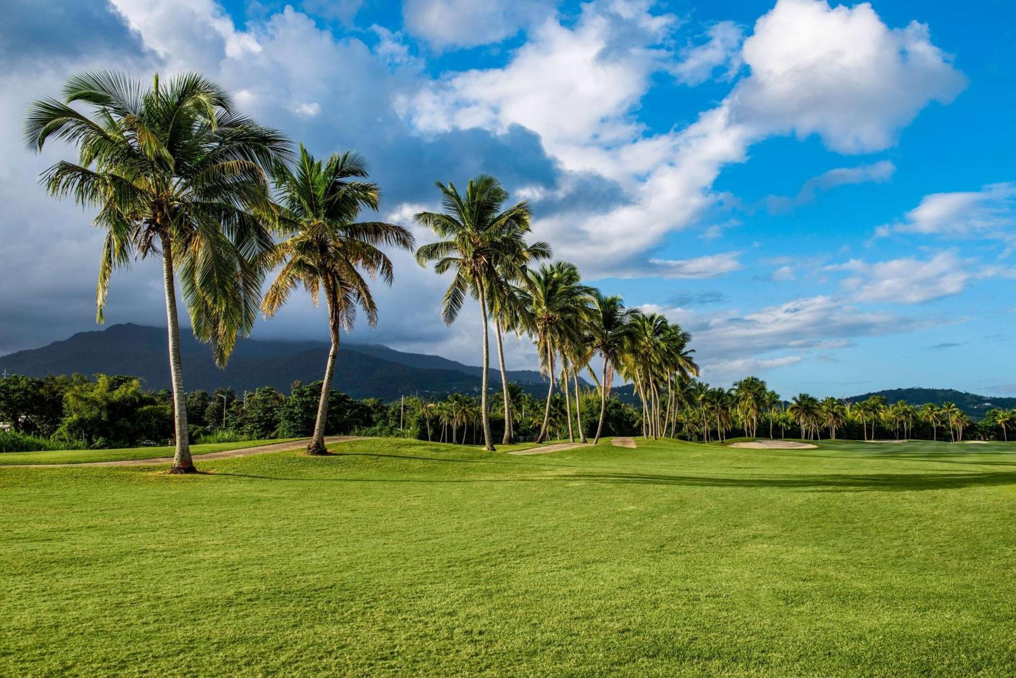 Wyndham Grand Rio Mar Rainforest Beach And Golf Resort Rio Grande Dış mekan fotoğraf
